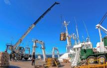 Puertos argentinos recibieron más de 500 mil toneladas de pescados y mariscos