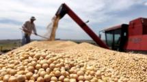 El Programa Incremento Exportador ¿alcanza?