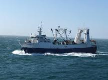 Nuevo Paradigma en la lucha contra la pesca ilegal