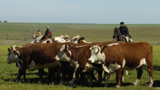 Pronostican que las exportaciones argentinas de carne vacuna serán récord en 2024